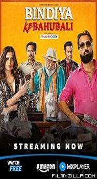 Bindiya Ke Bahubali (2025) S01 Hindi Series
